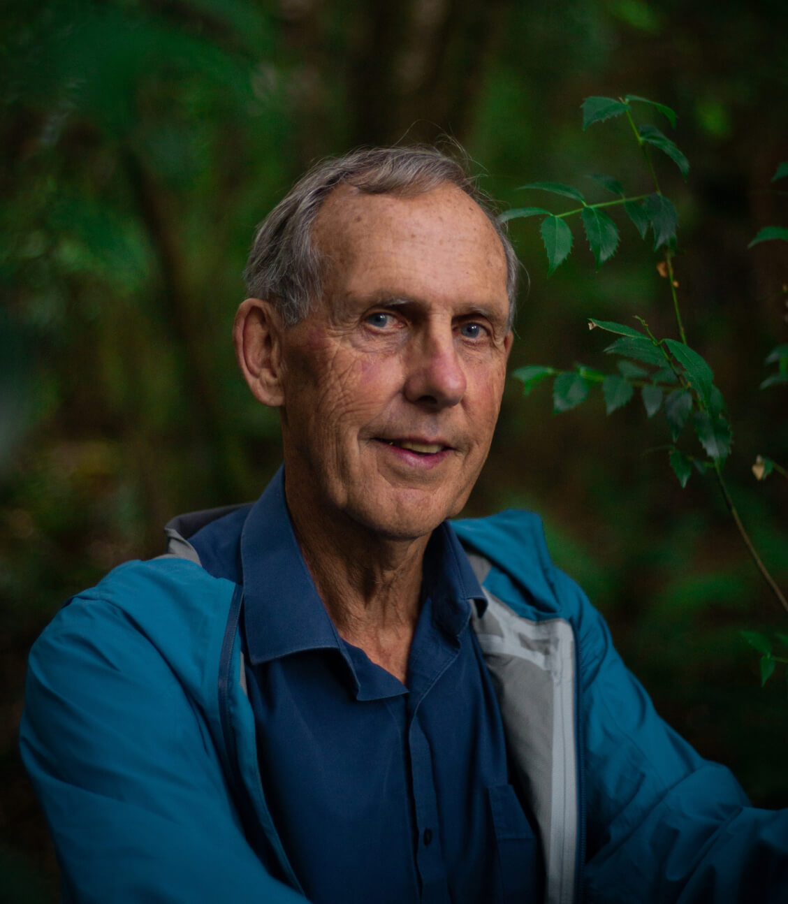 Portrait of bob brown in the forest